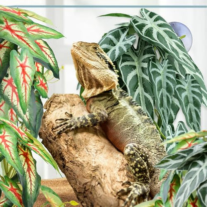 QUOZUO 2 Pack Reptile Plants for Terrarium, Artificial Leaves Habitat Decorations with Suction Cups, Terrarium Hanging Plants Vines for Bearded Dragons Lizards Snake Geckos Frogs - red and White