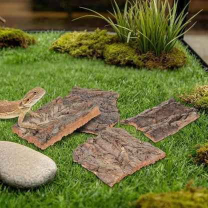 DOITOOL 8 Pcs Cork Bark Reptile Hide Terrarium Decor Climbing Bark for Snake Lizard Gecko Tortoise Habitat Accessories Natural Tree Look for Tank Enclosure