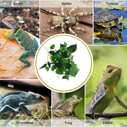 BESPORTBLE Artificial Reptile Terrarium Vine Plant with Suction Cups, Simulation Vine for Lizard Habitat Decor, Artificial Greenery for Pet Cage and Reptile Enclosure