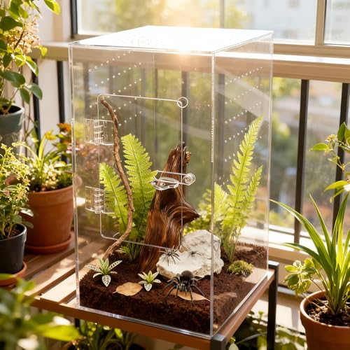 Jumping Spider Enclosure 12x6x6 Inch Acrylic Reptile Terrarium Tank with Front Opening Door - Vertical Habitat for Tarantulas, Praying Mantis, Hermit Crabs & Small Pets