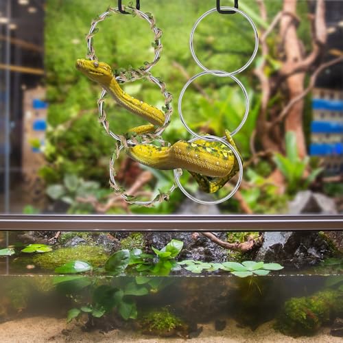 Catcan Snake Enrichment Rings for Ball Python, Snake Climbing Accessories Include Climbing Hoop Chain with Hanging Buckle and 5m Artificial Rattan Rope