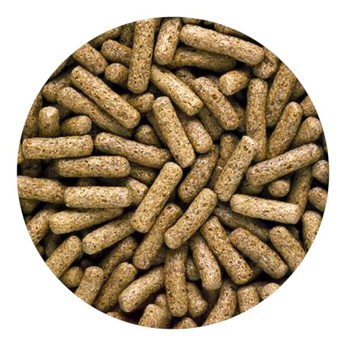 Hikari 43622.0 Aquatic Turtle Probiotic Diet, One Size - size: 1.58 Ounce (Pack of 1)