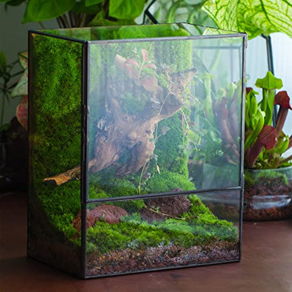 NCYP Close Glass Terrarium with Door - 7.8 x 5.1 x 9.8 Inches Geometric Landscape Clear Planter for Small Tropical Plants - Indoor Tabletop Centerpiece, Garden Decor (Terrarium Only) - size: 7.8x5.1x9.8 inches