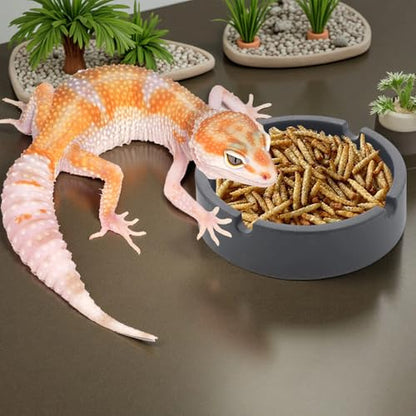3 Pack Reptile Feeding Bowl Silicone Reusable Feeder for Small Reptile Lizard Gecko Frog Snake Turtle Hermit Crab