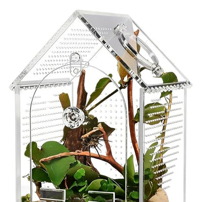 Clear Acrylic Reptiles Habitat Box with Ventilation Holes 12x12x20cm Reptiles Terrarium for Pets and Educational Use Comprehensive Fly Container