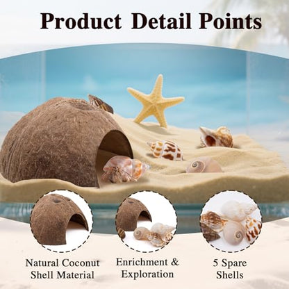 Hermit Crab Shells 1 Coconut Shell Hut 5 PCS Hermit Crab Seashells Accessories Decorations Enrichment Hut for House Hermit Crab Tank Hide Reptile Hideout