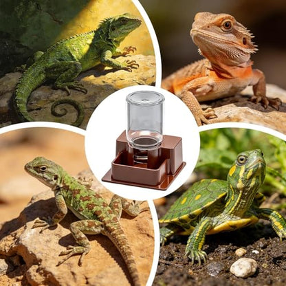 Reptile Automatic Dish - Automatic Reptile Feeder, Crab Water Dispenser | ABS, Bearded Dragon Water Bowl Food Container for Lizard Chameleon Snake Frog Hermit Crab Amphibian Habitat - color: Brown