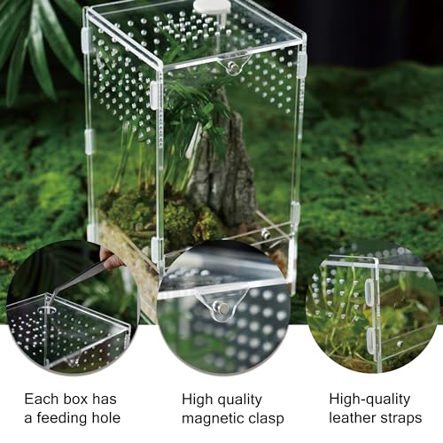 Acrylic Clear Reptile Habitat Enclosure Terrarium with Latch ，Perfect for Amphibians and Invertebrates Such as Spiders, Frogs, etc (Vertical Wood Large)