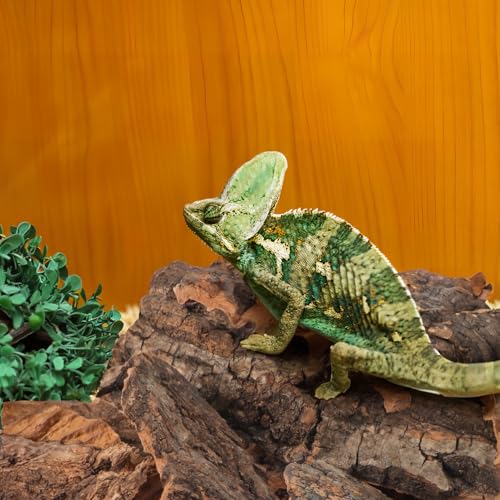 Kisangel Reptile Cork Bark Hides for Reptiles Lizard Climbing Bark Reptile Basking Platform 14-Piece Natural Terrarium Decoration for Snake Gecko Enclosure Habitat