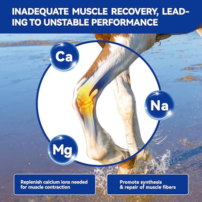 Horse Electrolyte Powder for Hydration, Replenish Sweat Loss in Hot Weather, Training & Performance Horses-Tub 840g - size: Tub