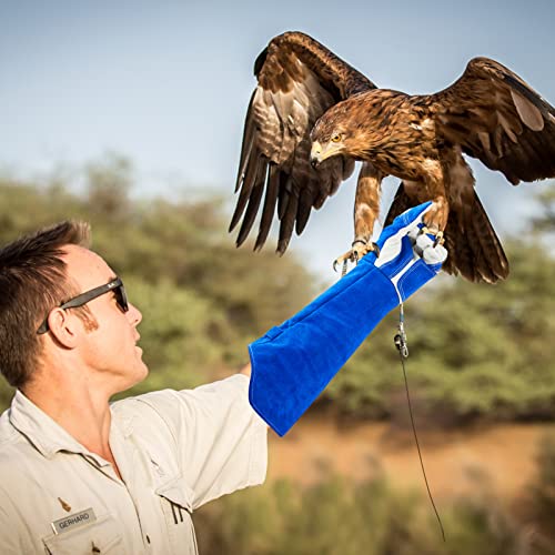 Animal Handling Gloves Bite Proof Reinforced Leather for Dog Training Cat Scratch Falcon Reptile Grabbing Snake - color: Blue-2