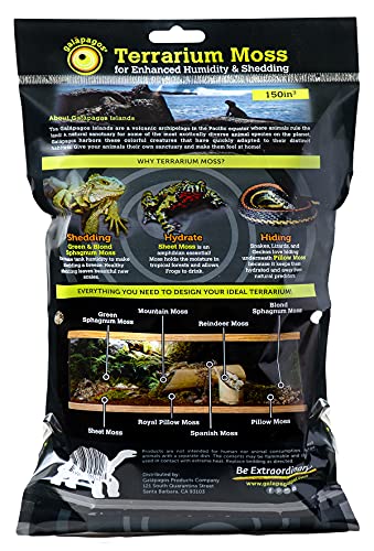 Galapagos (05180 Reindeer Moss, Natural, 150in3 Header Bag