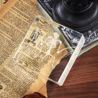 Taxidermy Bat and Real Bat Specimens Mounted in Resin, Ideal Gift for Fans of Taxidermy, Animal Skulls, Oddities, and Biology (Bat Skeleton) - color: Bat Skeleton