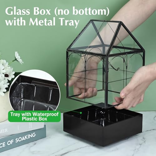 HighFree Glass Terrarium with Metal Tray, Glass Greenhouse Terrarium Kit for Succulents, Cacti, Snails, Spiders, and Miniature Reptiles, Black (Small-5.9" L x 5.9" W x 10.2" H) - size: Small-5.9"L x 5.9"W x 10.2"H