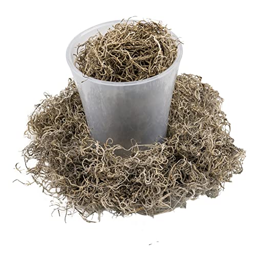 Gardenera Premium Natural Spanish Moss Natural Preserved - Great Ground Cover - Filler for Potted Plants - 1 Quart Bag, GRD-SPANISH-MOSS-1QT - color: SPANISH MOSS, size: 1 Quart