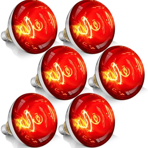250W R40 Red Heat Lamp Bulbs, 8000 Hours Rated, Infrared Flood Light, Brooder Heating Lamp for Chickens, Reptiles, Pets, Bathroom, E26 Base - 6 Pack - color: Red, size: 6 Pack