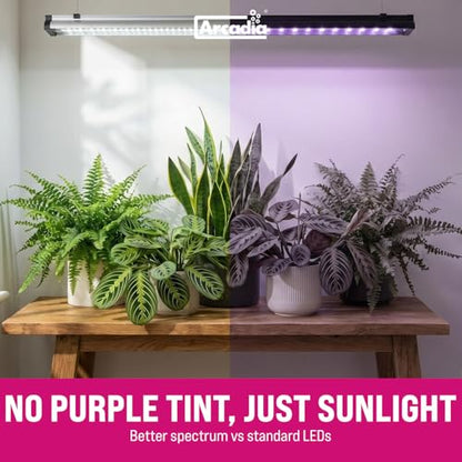 Arcadia Jungle Dawn LED Bar - 34W