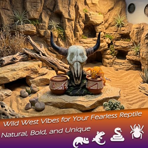 Reptile Water Bowl Bull-Head Shape Gecko Décor Terrarium Tank Decoration | Western bull head skull design, two water/food bowl, for leopard gecko/ bearded dragon and other small reptiles