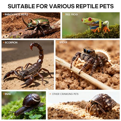 Acrylic Reptile Terrarium, Tarantula Enclosure with Magnetic Door, Easy-Clean Reptile Tank for Spider, Insect, Gecko, Mantis, Frog, Snail, Isopods- 11.4" X 7.8" X 5.9"(Tweezer and Bowl Included)