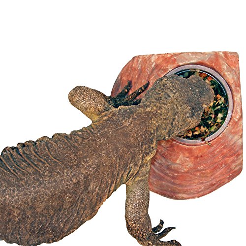 Healthy Herp Veggie Mix Instant Meal for Reptiles - Nutritious Bearded Dragon Accessories, Bearded Dragon Food - Made in USA - Quick Prep, Ideal for Box Turtles, Lizards, Tortoises - 7.5 oz (212g) - size: 7.5 Ounce (Pack of 1), style: Jar