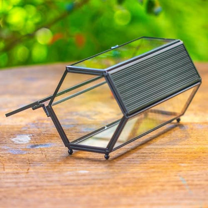 NCYP Small Glass Terrarium Enclosure with Mesh & Door for Tiny Beetle, Jumping Spiders, Hexagon Vented Glass Terrarium 6.8'' x 4.1'' x 3.6'', Indoor Decor, Black (Plants Not Include) - size: 6.8'' x 4.1'' x 3.6''