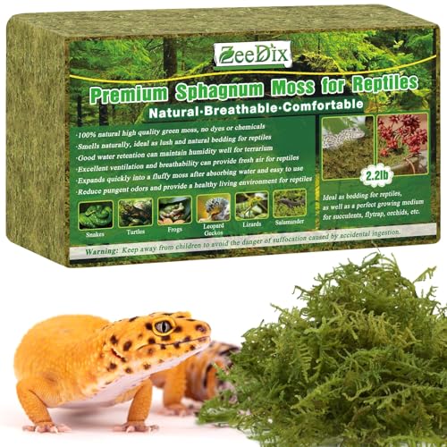 ZeeDix 2.2 lb Sphagnum Moss for Reptiles,20 qt Reptile Bedding Substrate Tank Accessories Terrarium Moss, Green Forest Moss for Leopards Geckos Snakes Turtles Frogs - color: 2.2lb