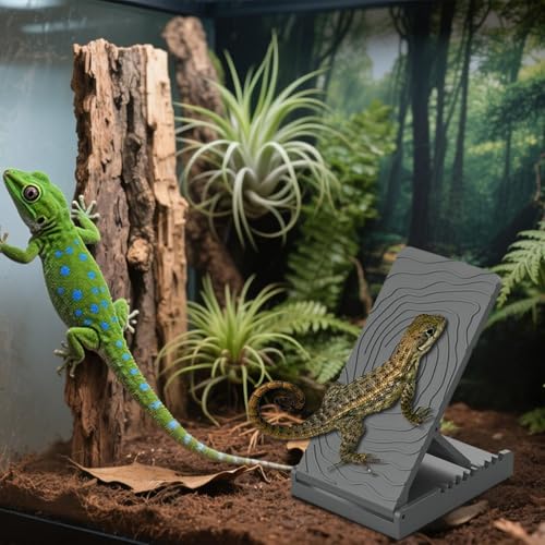 Reptile Basking Ramp | Bearded Dragons Climbing Step Ramp | Height Adjustable Lizard Resting Area for Terrarium Vivarium Tank Enclosure Chameleons Tortoise Frogs Newts Pet Enthusiasts Home Kitchen - color: Gray