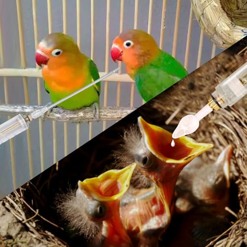 8 Pcs Bird Feeding Syringe Set Feeding Tubes for Baby Birds Parrot Hand Feeding Syringe Pet Syringe Feeding Tube Stainless Steel Metal Feeding Spoon Small Animals (50ml-Set of Eight) - size: 50ml-Set of eight