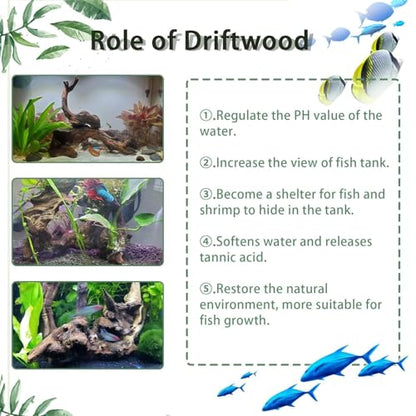 Tfwadmx Aquarium Natural Driftwood Decor Wood Branches, 2 Pieces 8.5-12" Fish Tank Driftwood Decoration, Terrarium Mopani Wood for Aquarium Freshwater Reptile Tank - size: Large: 8-12"(2Pcs)