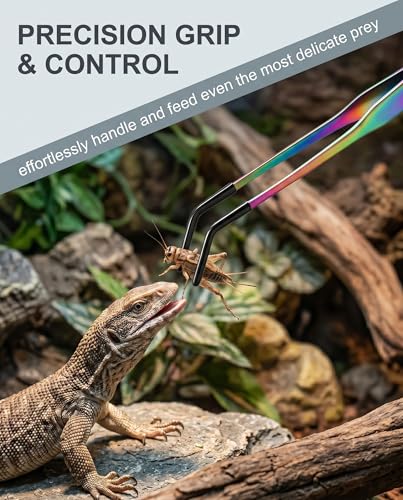Rainbow Stainless Steel Rubber Tip Tongs for Reptile Feeding and Handling Long Handle Straight and Curved Tweezers for Bearded Dragon Small Exotic Pets