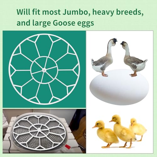 10 Egg Capacity Jumbo Goose Heavy Breeds Tray Fits Nurture Right 360 Incubator Turner, White (JGT360)