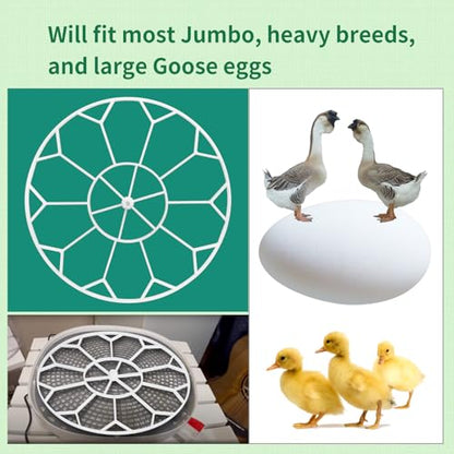 10 Egg Capacity Jumbo Goose Heavy Breeds Tray Fits Nurture Right 360 Incubator Turner, White (JGT360)