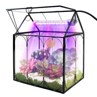 Plant Terrarium Kit with Grow Light, Rifny Large Glass Terrarium Jar with Absorbent Mat and Lid for Venus Fly Trap Succulent Live Air Plants Indoor Home Office Decor (Black, 8.9 x 5.9 x 9.9 inch) - size: Black-Large with Plant Light