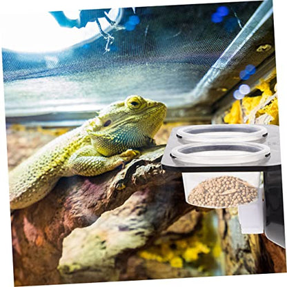 Reptile Feeding Ledge and Water Feeder Accessories for Gecko Tank Snake Lizard