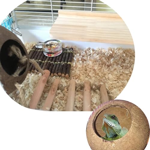 Gecko Coconut Shell Hut Reptile Hideout Home Nesting House Natural Habitat Decor with Hanging Wooden Ladder for Lizard Gecko Hermit Crab