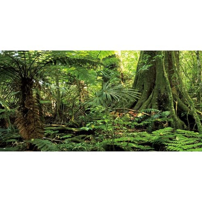 AWERT 72x18 inches Forest Terrarium Background Stone Green Huge Tree Reptile Habitat Background Tropical Rainforest Aquarium Background Durable Polyester Background - size: 72x18in/180x45cm