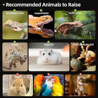 Jumping Spider Enclosure,7.8''x8''x12'' Large Insect Terrarium, Praying Mantis Habitat, Large Insect Terrarium,Reptile Enclosure,Spider Habitat Caterpillar Habitat 7.8''x8''x12''