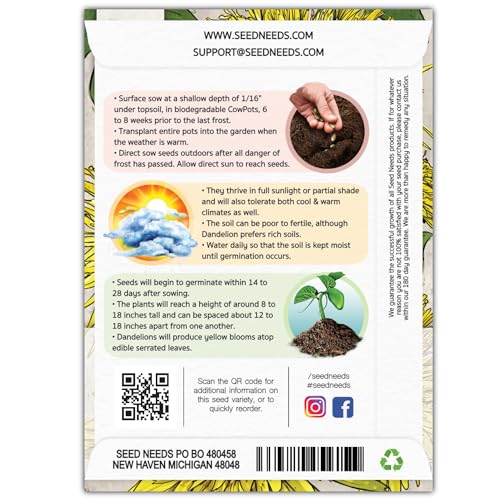 Seed Needs Dandelion Seeds to Plant Heirloom & Non-GMO Herbs 1 Pack - size: 1 Pack, style: Common Dandelion
