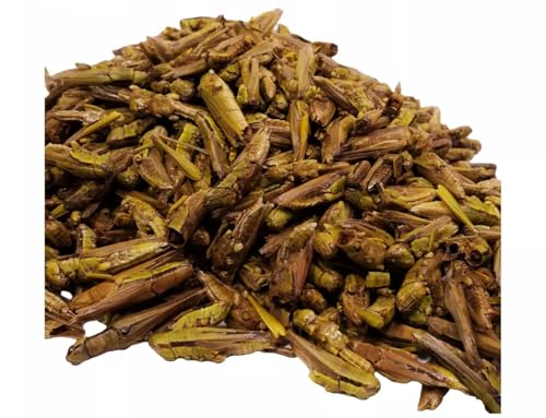 Grasshoppers - Freeze Dried Grasshoppers for Tropical Fish, Reptiles, Turtles, Tortoises Frogs, Hamsters, Birds, Rodents…14oz Lg Jar - size: 14 Ounce (Pack of 1)
