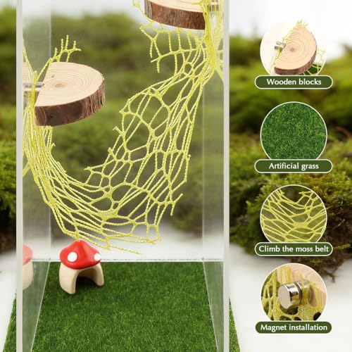 Jumping Spider Accessories Kit – 5 Pcs Set with Mushroom Platforms, and 1 Spider Webs for Climbing, Feeding, and Decorating