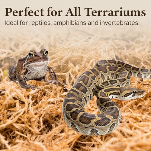 The Habitat Life - Natural Sphagnum Moss - for Reptiles, Amphibians & Invertebrates Terrariums - Humidity Control - Ideal for Burrowing & Nesting - Dye-Free & Safe - Small - 1 Pack - size: Small, style: Sphagnum Moss