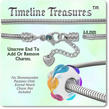 European Charm Bracelet for Women and Girls Bead Charms, Stainless Steel Snake Chain, Extender