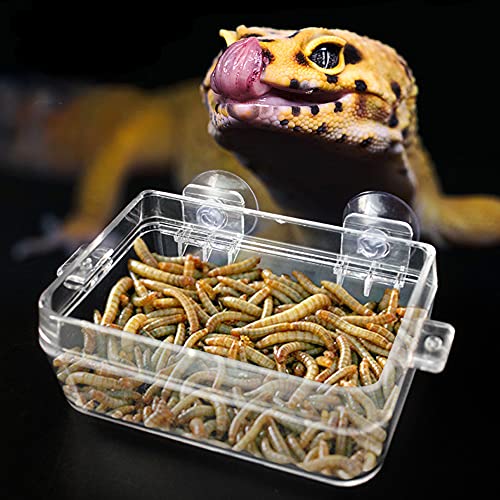 Reptile Feeder Chameleon Bowl 2 Pcs Anti-Escape Food Dish Bowl with Suction Cup for Chameleon Iguana Lizard Reptile Food and Water Feeding (White, S) - color: White, size: S