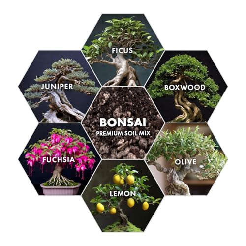 Premium Bonsai Soil Mix for Thriving Indoor Bonsai Trees - Perfect Potting Soil for All Bonsai Varieties - Organic Blend for Optimal Growth - Indoor Plant Soil - 4 Quarts - style: Bonsai Plant Soil Mix