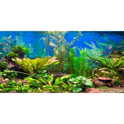 AWERT 30x12 inches Aquarium Background Aquatic Plant River Bed & Lake Fish Tank Background Vinyl - size: 30x12in/75x30cm