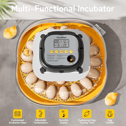 25 Egg Incubators for Hatching Eggs, Spacious Interior with Protective Wall, Top Handle, Automatic Egg Turning, Smart Lockdown Mode, Incubation Day, Auto Water Refill, for Chicken, Quail & Duck Eggs - size: 25 Eggs