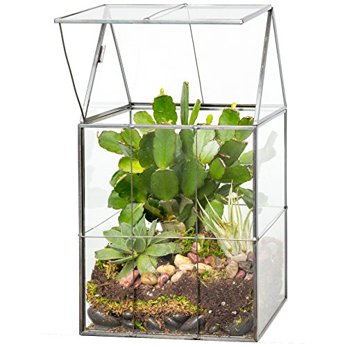 D'Eco Glass Geometric Centerpiece (6x5x11) - Planter Terrarium - Spring Home Decor & Wedding Letterbox - Fill with Succulents, Cacti, Air Plants, Moss, Flowers for Plant Lovers