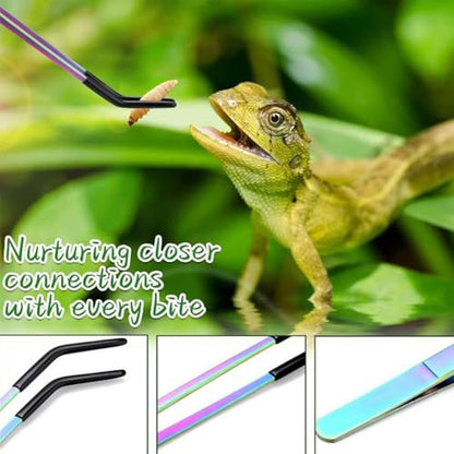 Reptile Feeding Tongs - Stainless Steel Clamp | Long Tongs With Rubber Tip for Bearded Dragons, Lizards, Amphibians, Reptiles, Aquarium, Terrarium, Tank, Supplies - color: B