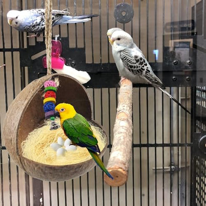 kathson Natural Coconut Shell Bird Nest,Hanging Coconut for Birds Parakeet Coconut Hut Coco Shell Bird House Cage Accessories Decoration for Parrots Lovebird Parakeets Finch Canary - size: [M:9.8 x 5.1 x 5.1 lnches]