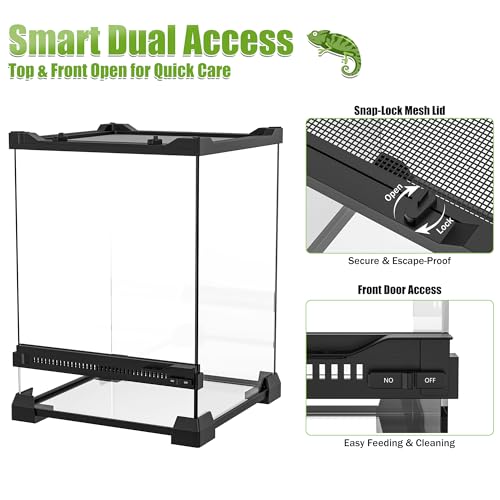 Reptile Terrarium 10"x10"x14", Full Glass Tank Enclosure for Small Reptiles, Geckos, Frogs, Lizards, Snakes, Spiders, Turtles, Vertical Rainforest Habitat - size: 10" x 10" x 14"